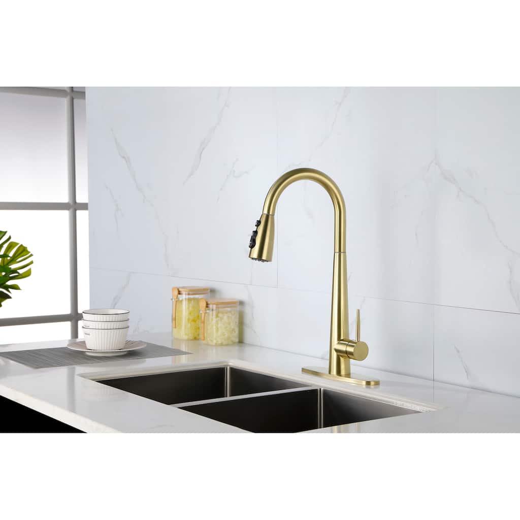 Single Handle Kitchen Sink Faucet with Pull Down Sprayer