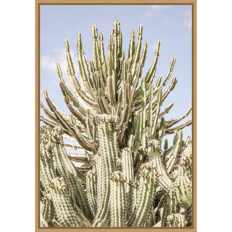 Cactus Forest by Shot by Clint Framed Canvas Wall Art Print - Sylvie Natural
