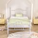 Option White