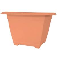 Calypso Coral Stone Planters, Beige Coral Flower Pot from United States 