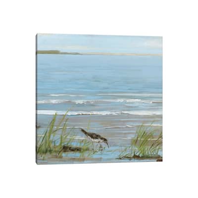 iCanvas "Afternoon On The Shore II" by Sally Swatland Canvas Print