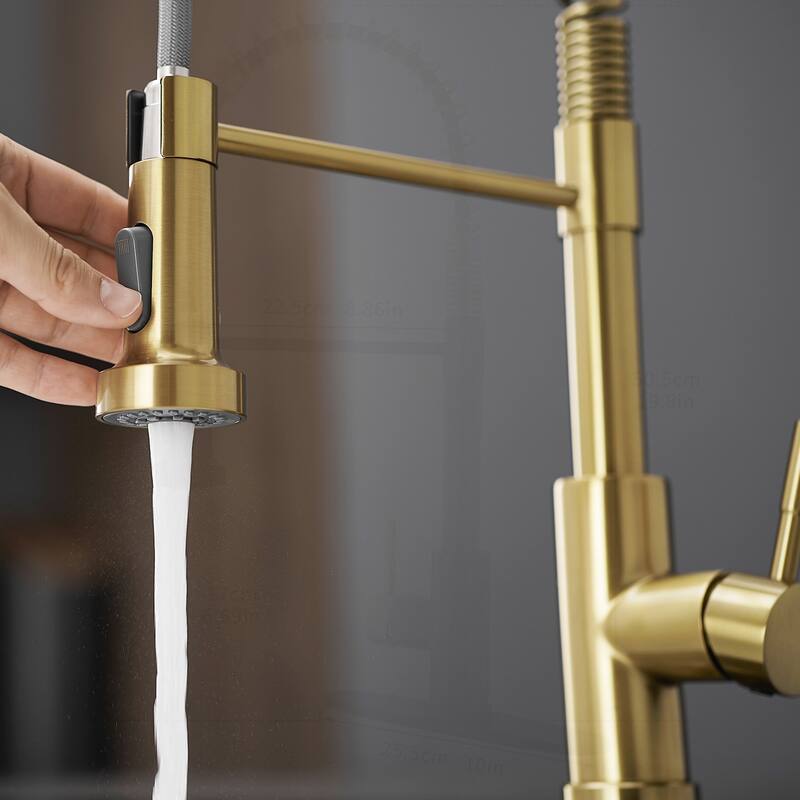 Kitchen Faucet with Pull Down Sprayer and Swivel Function