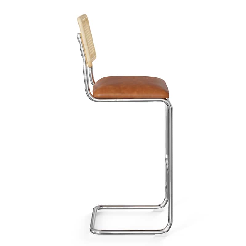 Hayward Cane Back Vegan Leather Bar Height Stool (Set of 2)