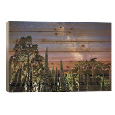 Echiums Under The Milky Way Print On Wood by Chad Powell - Multi-Color
