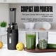 preview thumbnail 37 of 53, Ventray Essential Ginnie Juicer, Compact & Slow, Nutrient Dense