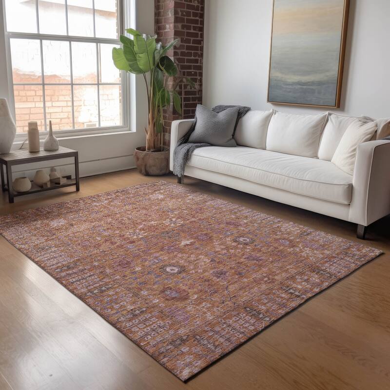Machine Washable Indoor/ Outdoor Traditional Classic Chantille Rug