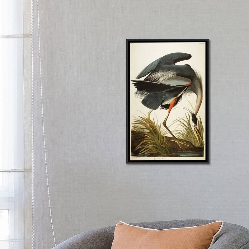 iCanvas "Great Blue Heron " by John James Audubon Framed Canvas Print - 26x18 - Black