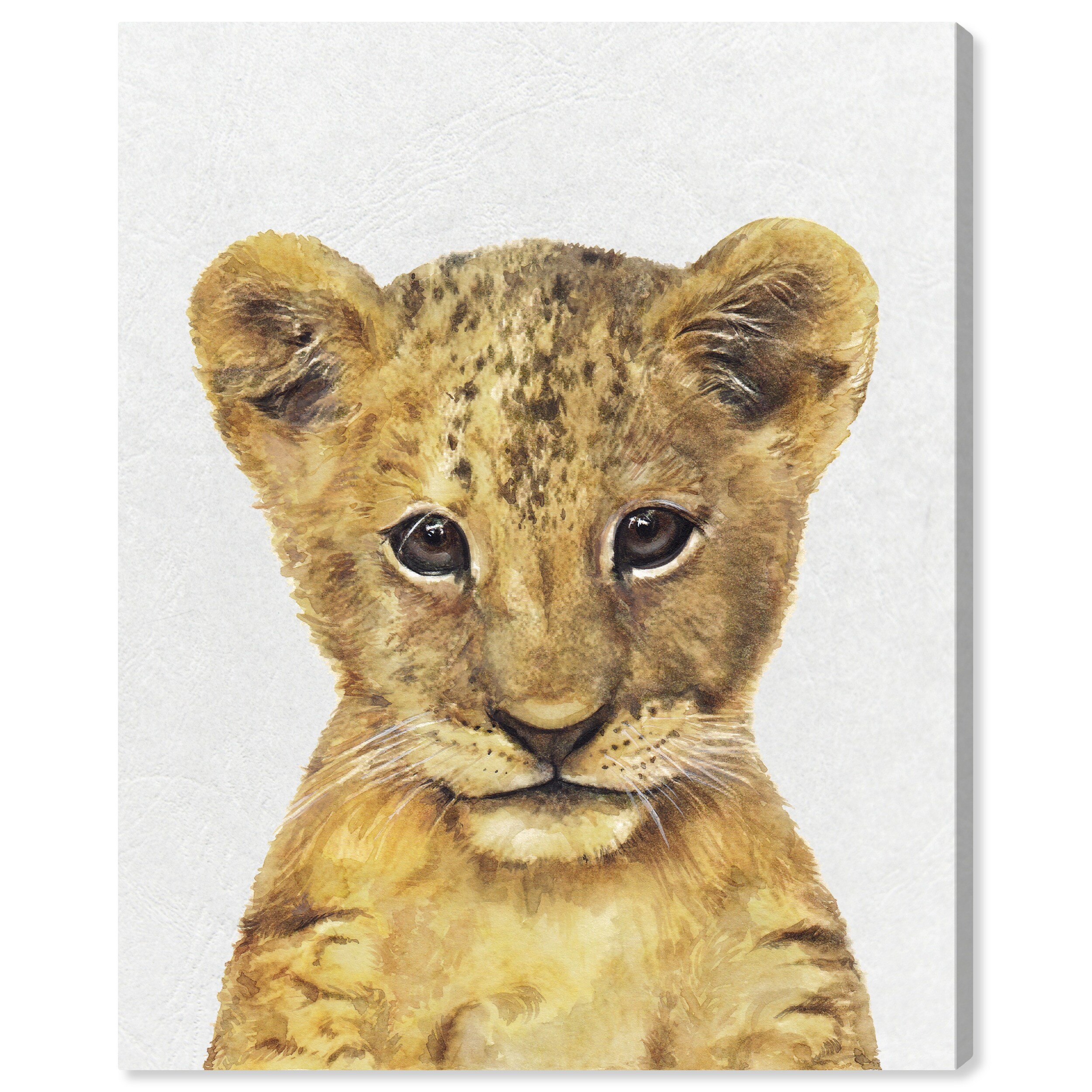 Oliver Gal Cute Baby Lion Animals Wall Art Canvas Print Baby Animals Brown White Overstock