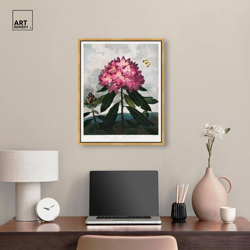 Pontic Rhododendron 1807 Canvas by Art Remedy