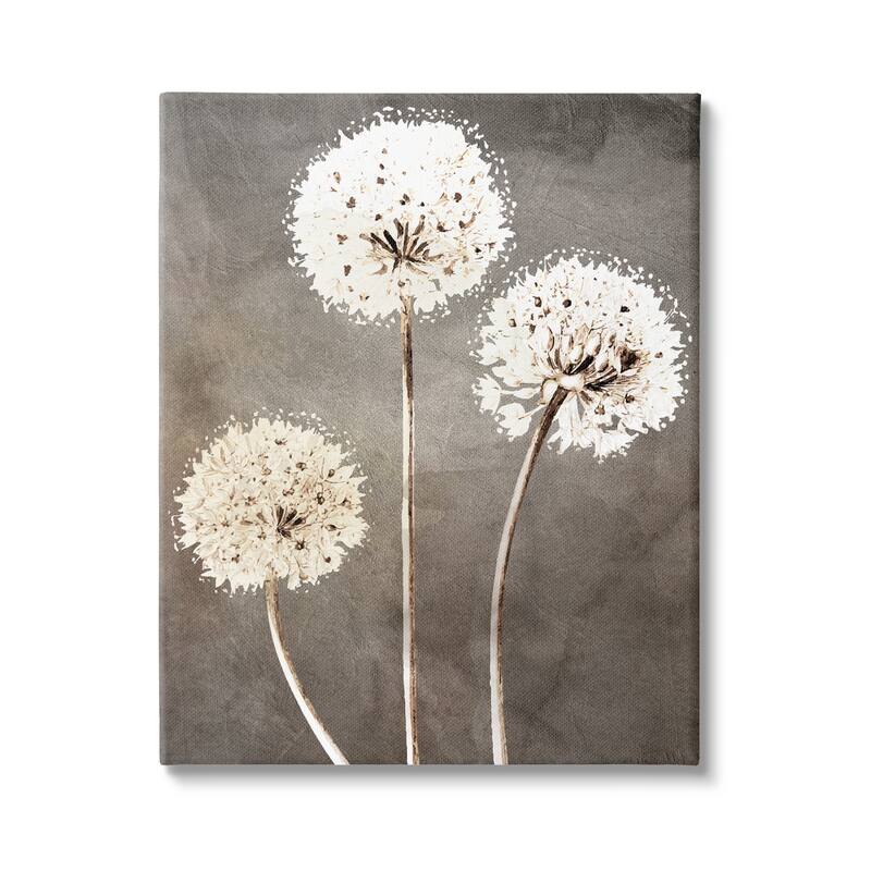 Stupell Fluffy Dandelion Plants Wildflower Botanical Blooms Canvas Wall Art, Design by Kim Allen