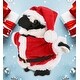 preview thumbnail 4 of 4, DolliBu Santa African Penguin Stuffed Animal Plush with Santa Outfit - 7 inches