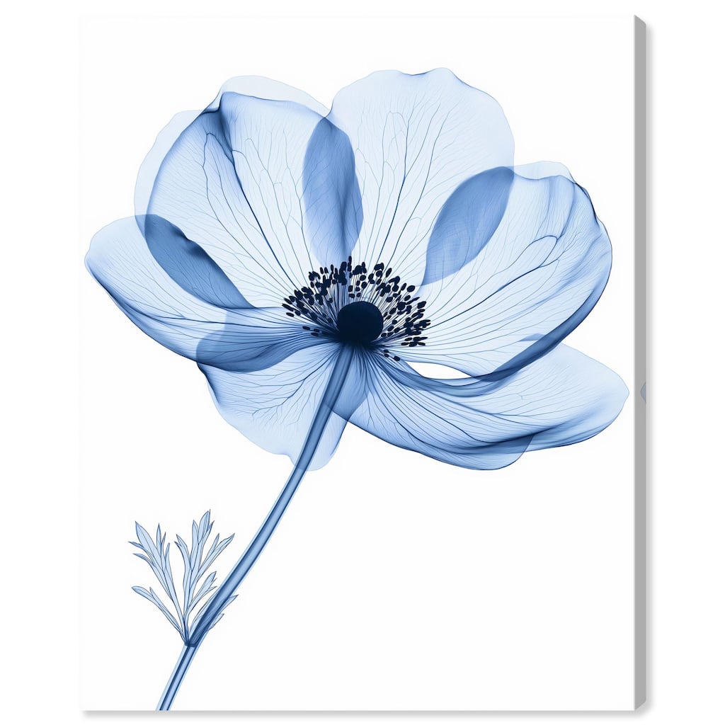 Floral Radiograph Canvas by Art Remedy, Gallery Wrapped