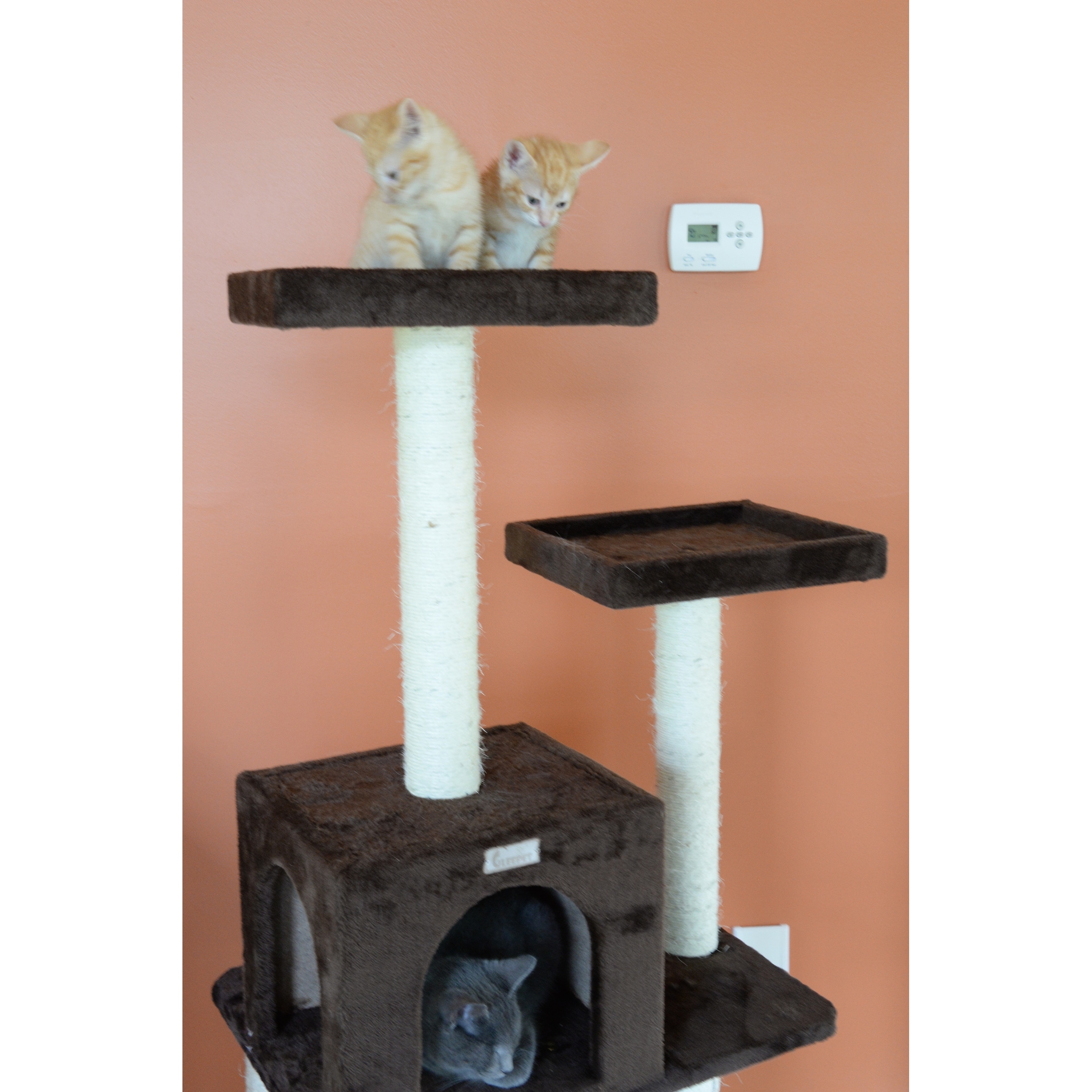 gleepet cat tree