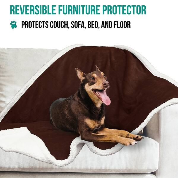Shop Petami Large Dog Blanket Free Shipping On Orders Over 45