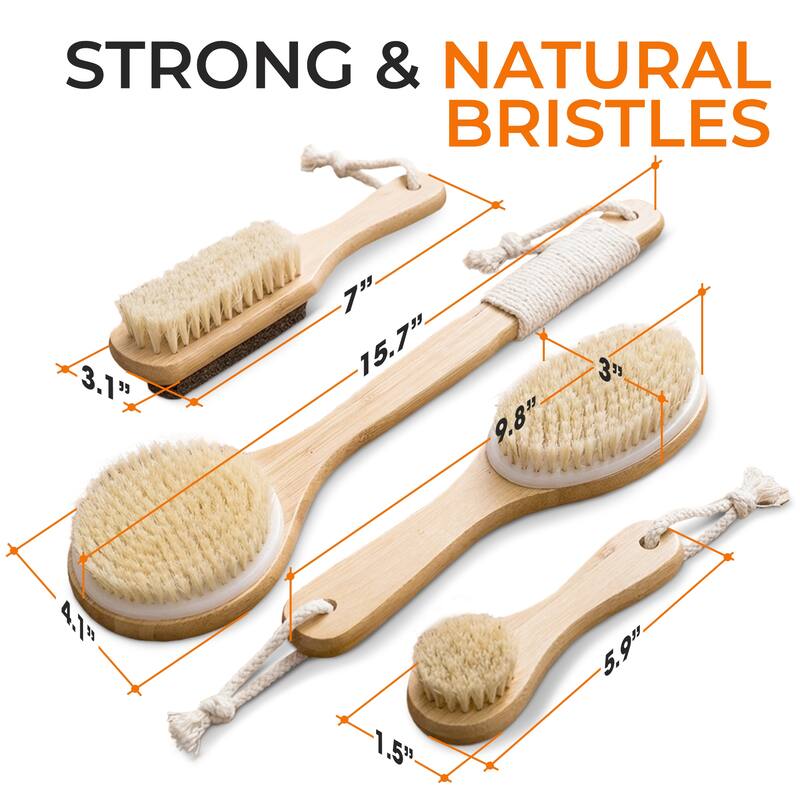 Cheer Collection Set of 4 Shower Body Brushes with Natural Bristles Multiple Sizes for Wet or Dry Use