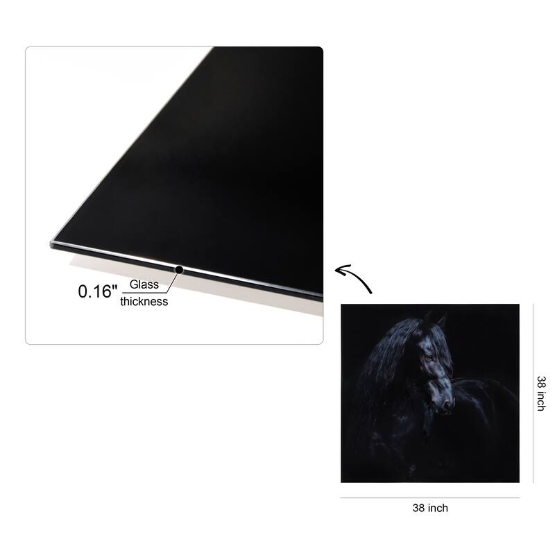 "Black Equine Attraction" Frameless Free Floating Tempered Glass Panel Graphic Wall Art