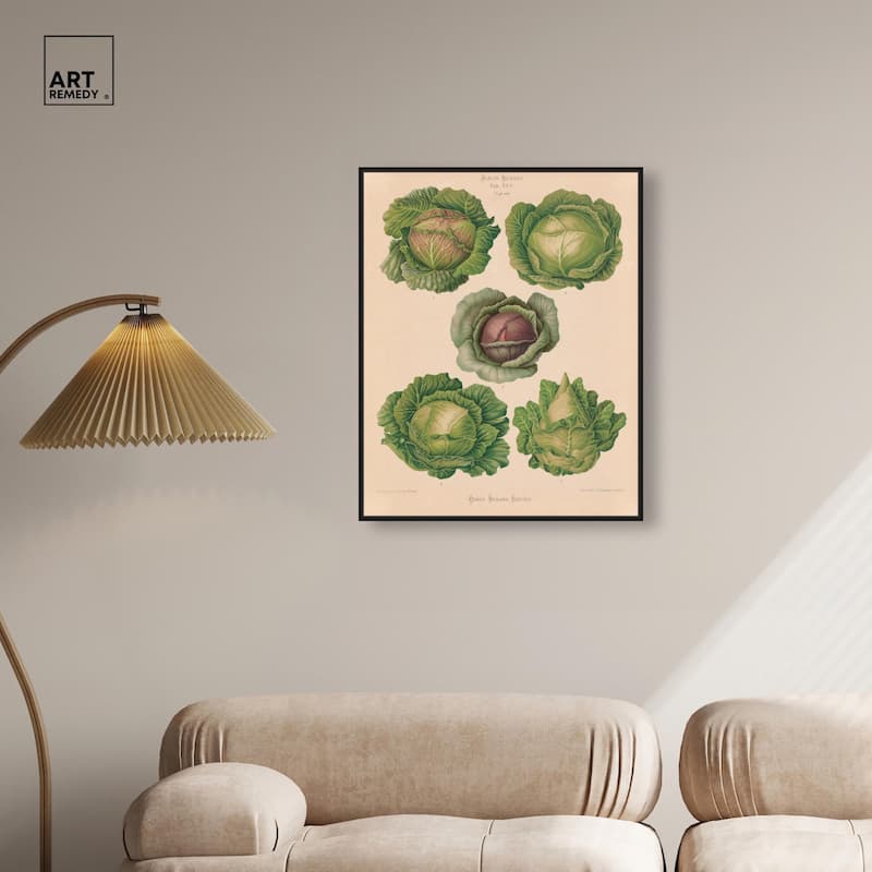 Cabbages by Benary 1876 Canvas by Art Remedy