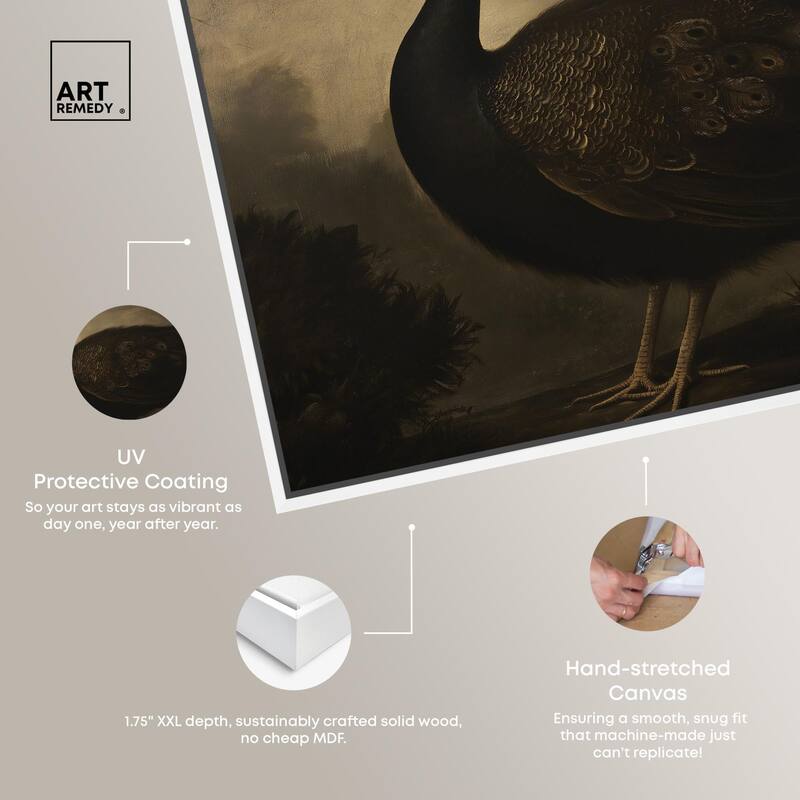 Peacock in Monotone Canvas by Art Remedy