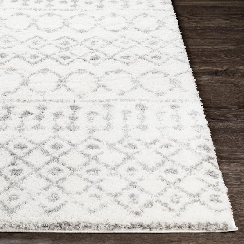 Livabliss Aliyah Shag Moroccan Tribal Area Rug