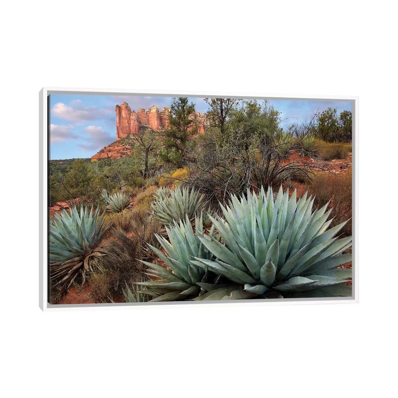 iCanvas "Agave And Coffee Pot Rock Near Sedona, Arizona" by Tim Fitzharris Framed Canvas Print - White - 18x26