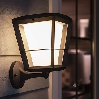 Econic Outdoor Wall Light