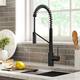 Kraus Oletto Commercial 2-Function Pulldown Kitchen Faucet