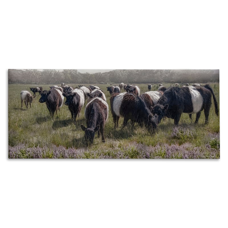 Stupell Black Cows Grazing in Pasture Canvas Wall Art Design By Robin-Lee Viera - 24 x 10