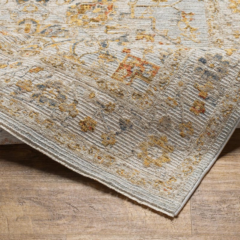 Tereza Updated Traditional Medallion Area Rug