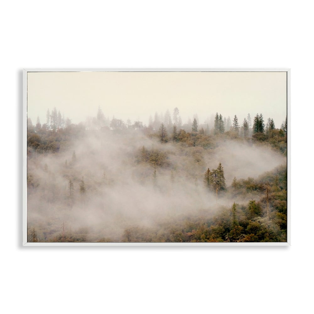 Stupell Morning Fog over Trees Framed Giclee Art Design By Gemma Bardot