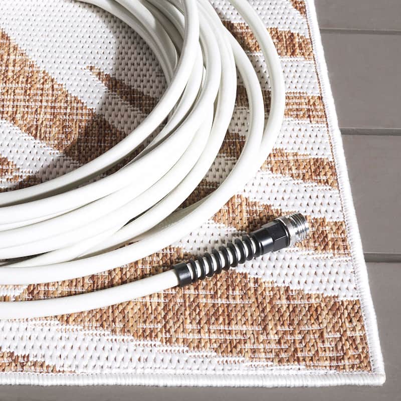 SAFAVIEH Beach House Nassrin Transitional Rug