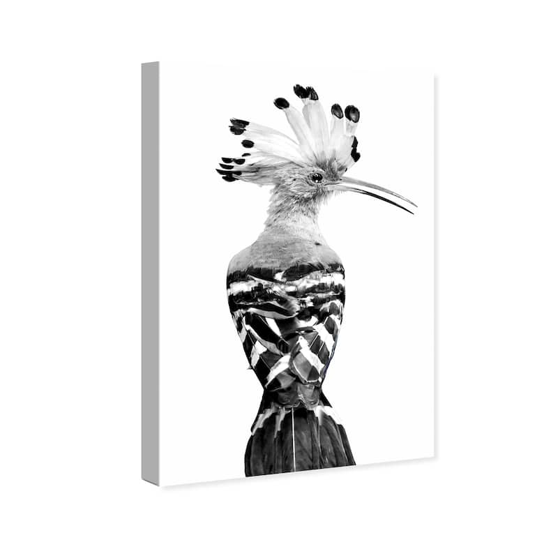 Wynwood Studio Canvas Animals Hoopoe Black and White Black and Glam Wall Art Canvas Print