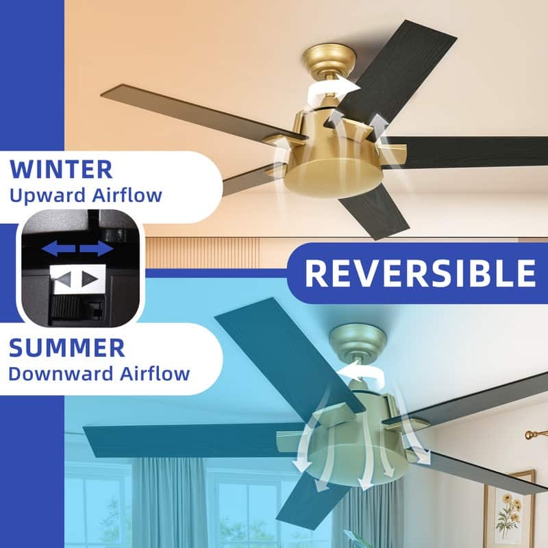 Moasis 52 Inch Modern Black Gold Ceiling Fan with Wall Switch & Remote