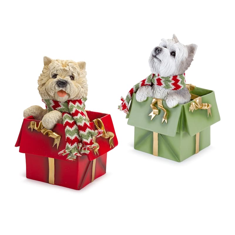 Dog in Package (Set of 2) - Red
