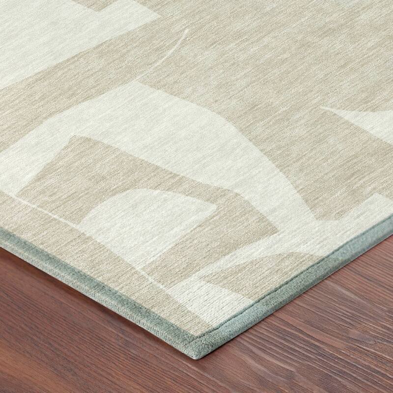 Machine Washable Indoor/ Outdoor Modern Creede Chantille Rug