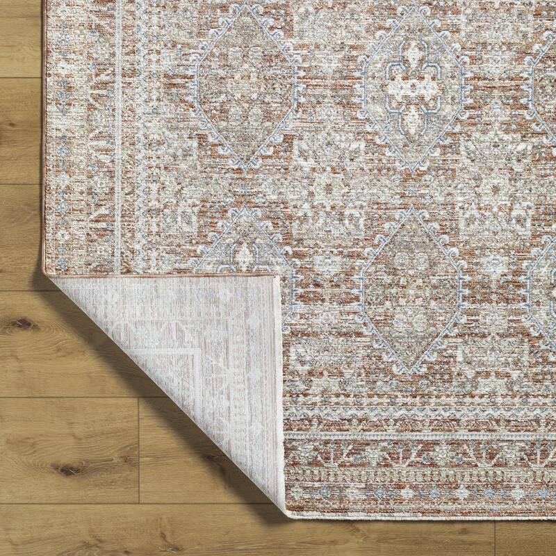 Anabelle Vintage Oriental Area Rug
