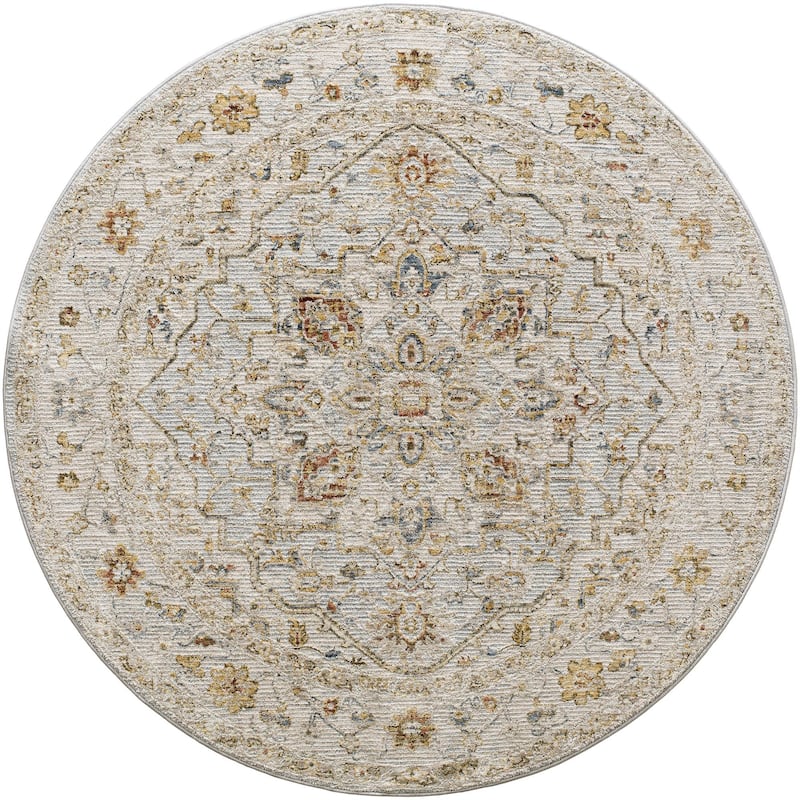 Tereza Updated Traditional Medallion Area Rug - 7'10" x 7'10" Round - Blue