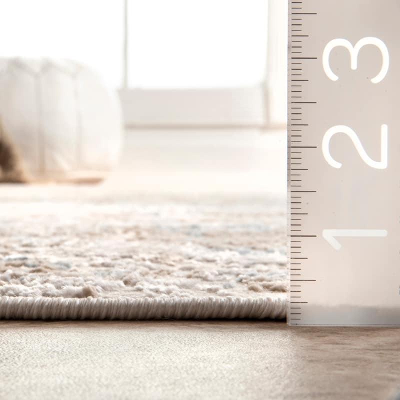 Nuloom Jodee Vintage Medallion Area Rug