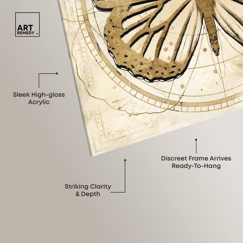 Astro Fluttering Wings Acrylic by Art Remedy, Ready to Hang