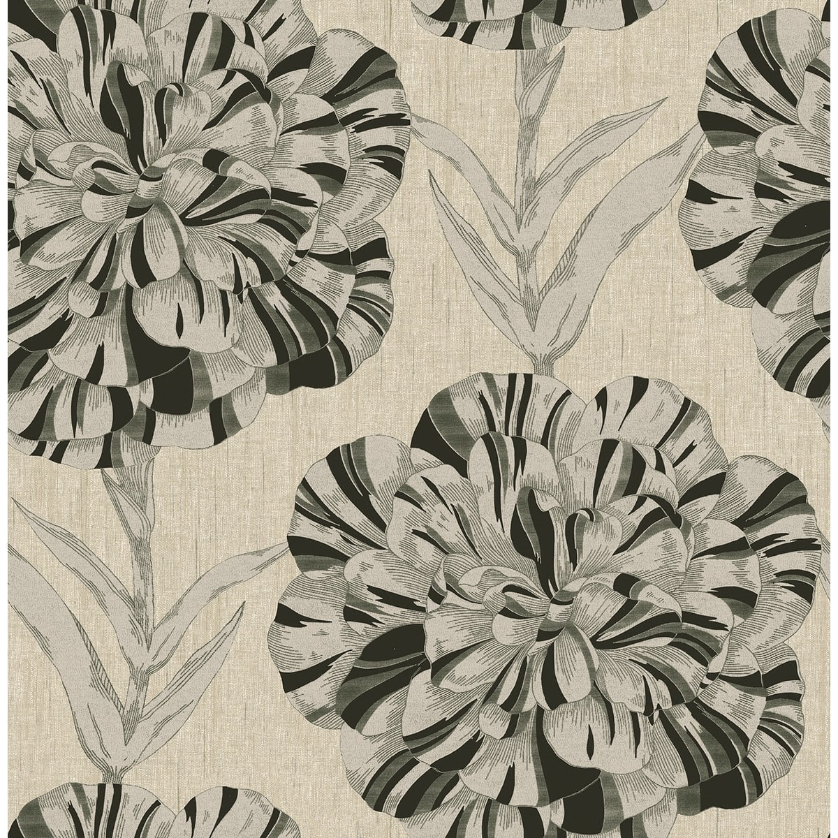 Option Beige & Inkwell