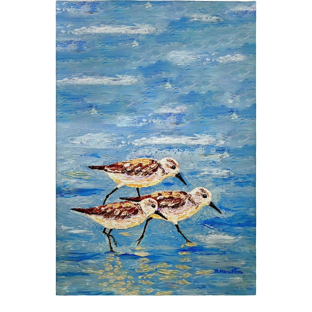 Sandpiper Race Guest Towel - 20x20
