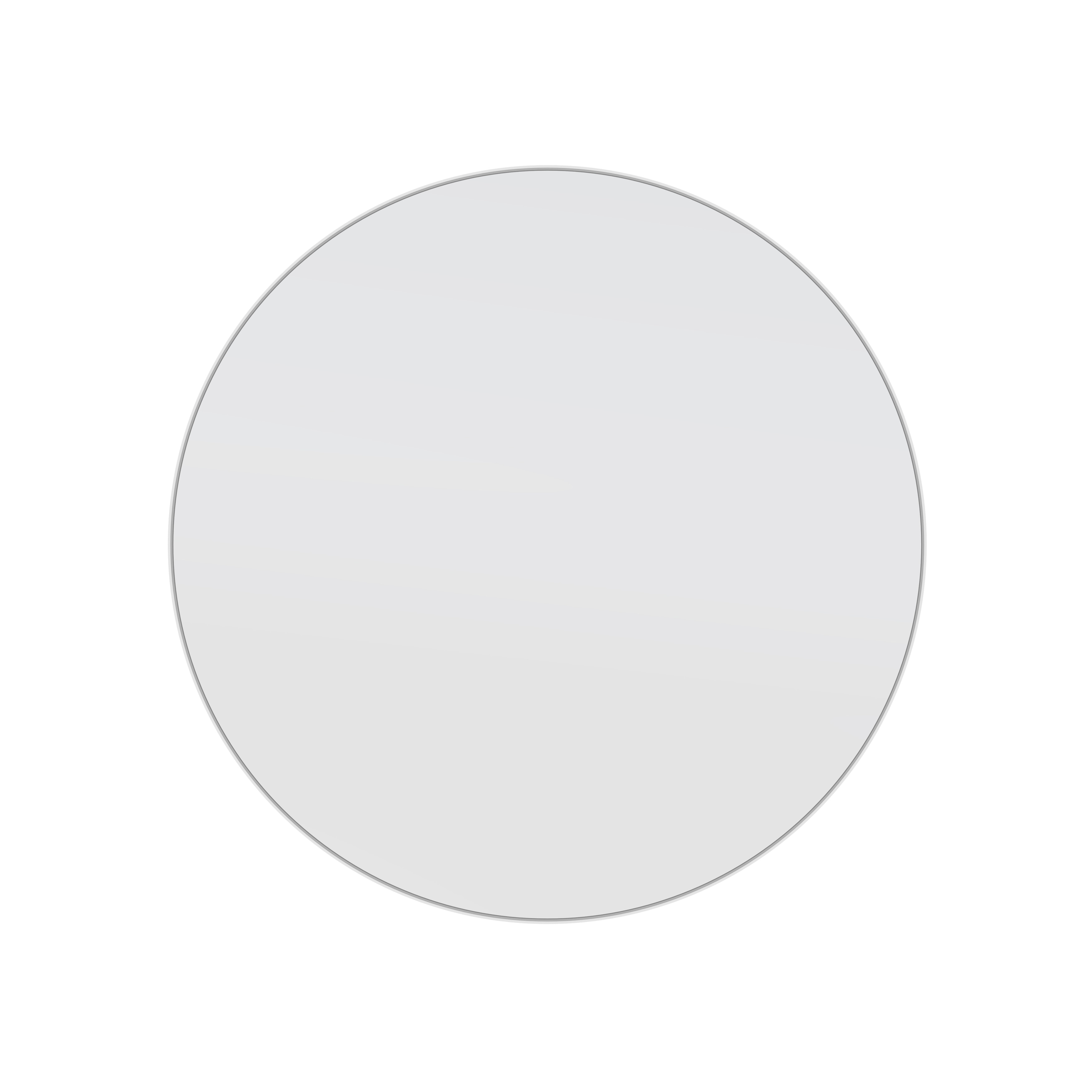 Glass Warehouse Round 36" Stainless Steel Framed Mirror