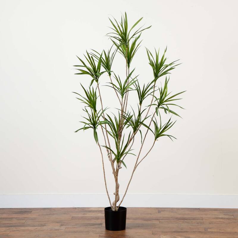 Artificial Dracaena Potted Tree - 6' - Green