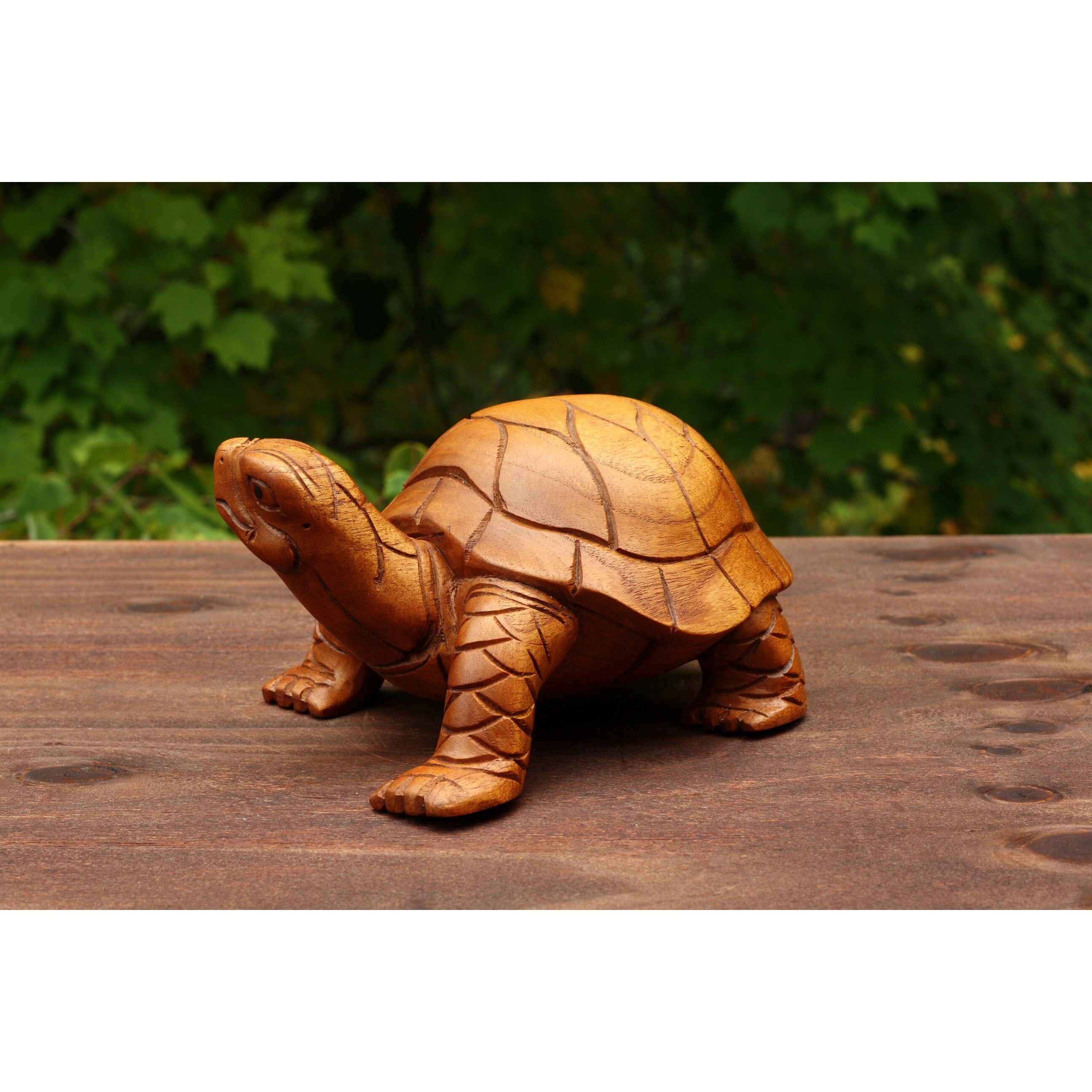 Tortoise home decor hotsell