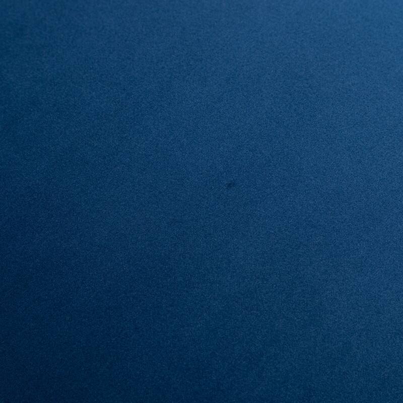 Modern Contempoary Velvet Dining Chair Set of 2 with Metal Frame Legs and Back Pull