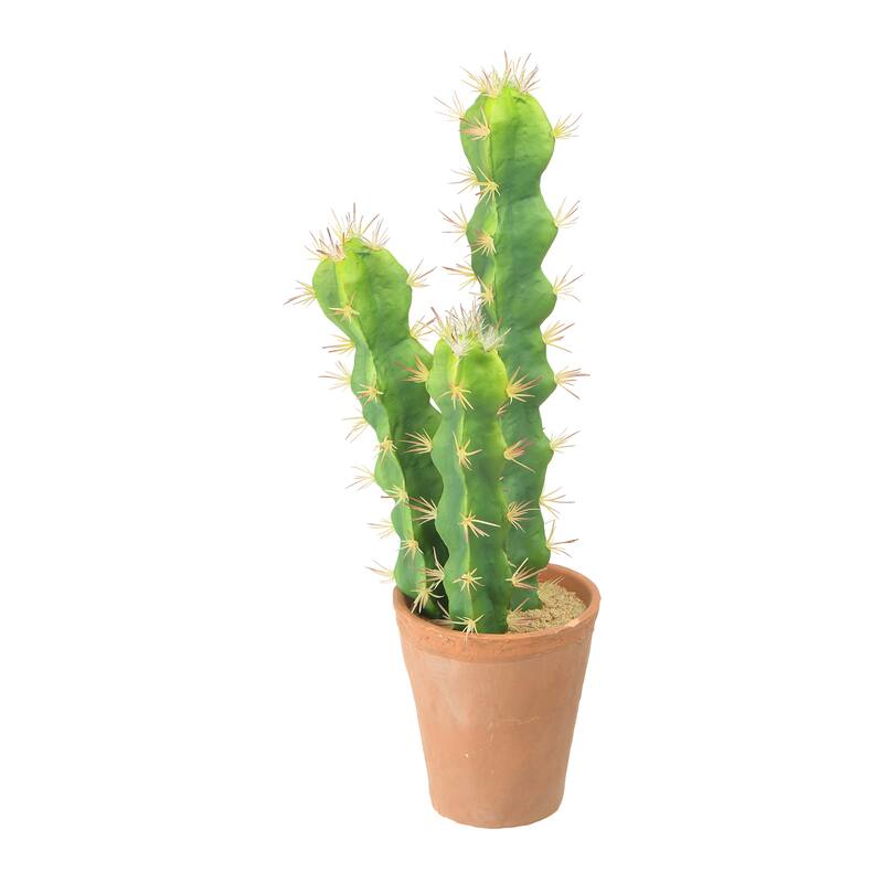 Faux Cactus in Terracotta Colored Pot