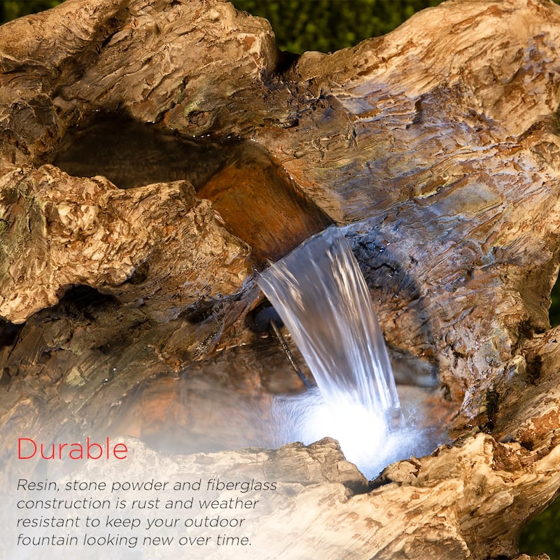 Curved Log Rainforest w/ LED light