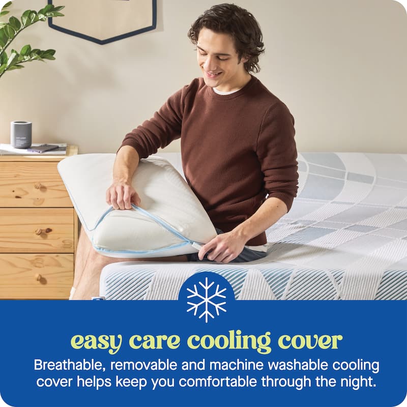 Sealy Dreamlife Memory Foam Pillow, King