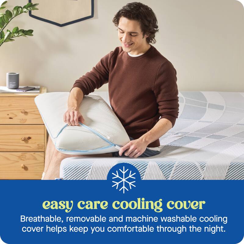 Sealy Dreamlife Memory Foam Pillow