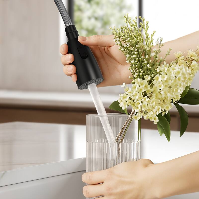 Modern 2-Function Pull-Down Kitchen Faucet – Single Handle, 1-Hole Installation