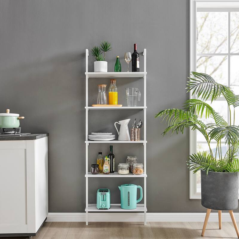 Danya B. Everett 5-Tier Open Display Stand Wall Mount Modern Metal Frame Ladder Shelf